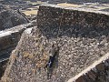 Mexico Pyramids - Mexico City 2009 0155